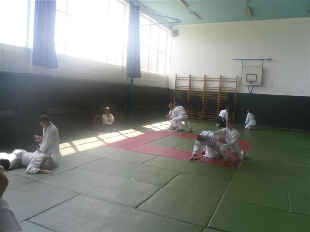 SAM_3887 (Small)
